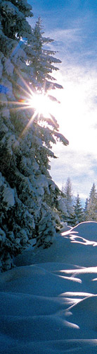 Winter in der Skiarena Nassfeld
