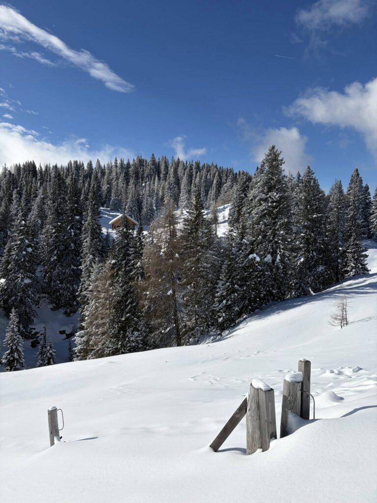 632738794 1248968370764781 851239587305703139 N 768x1024