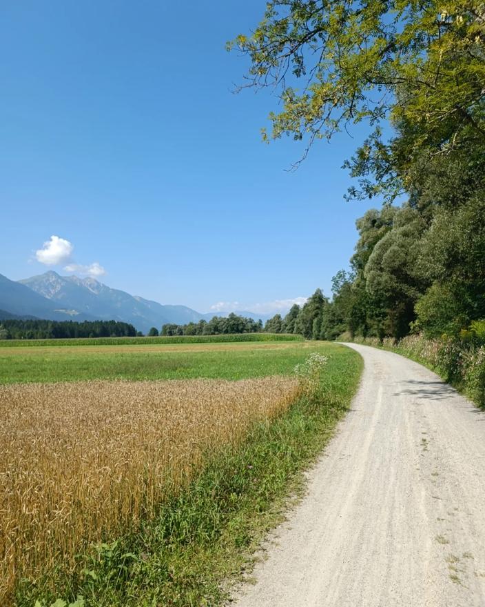 645367356_1264335595894725_7558641001227408679_n 645367356 1264335595894725 7558641001227408679 N