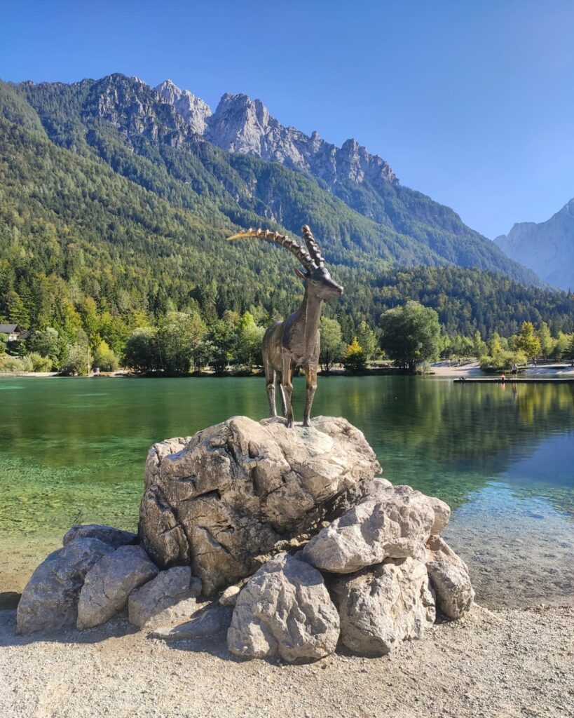 646923982 1264335805894704 6744510617977475627 N 819x1024