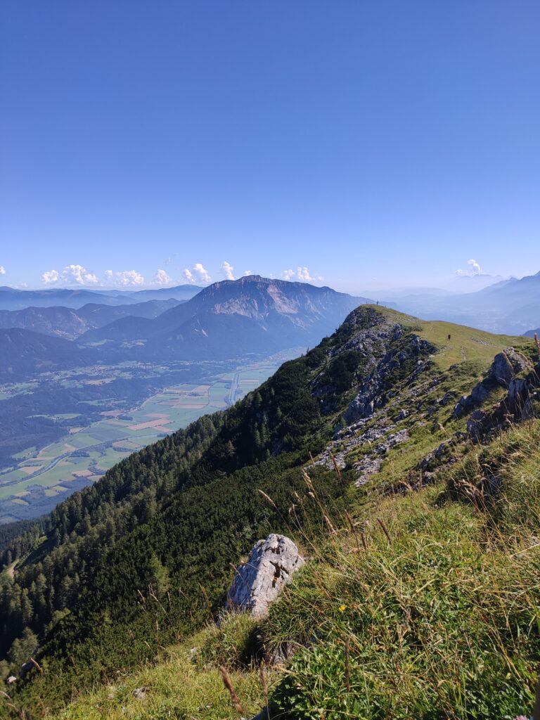 IMG 20200822 114511 768x1024