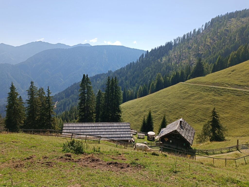 IMG 20230909 132853 1024x768