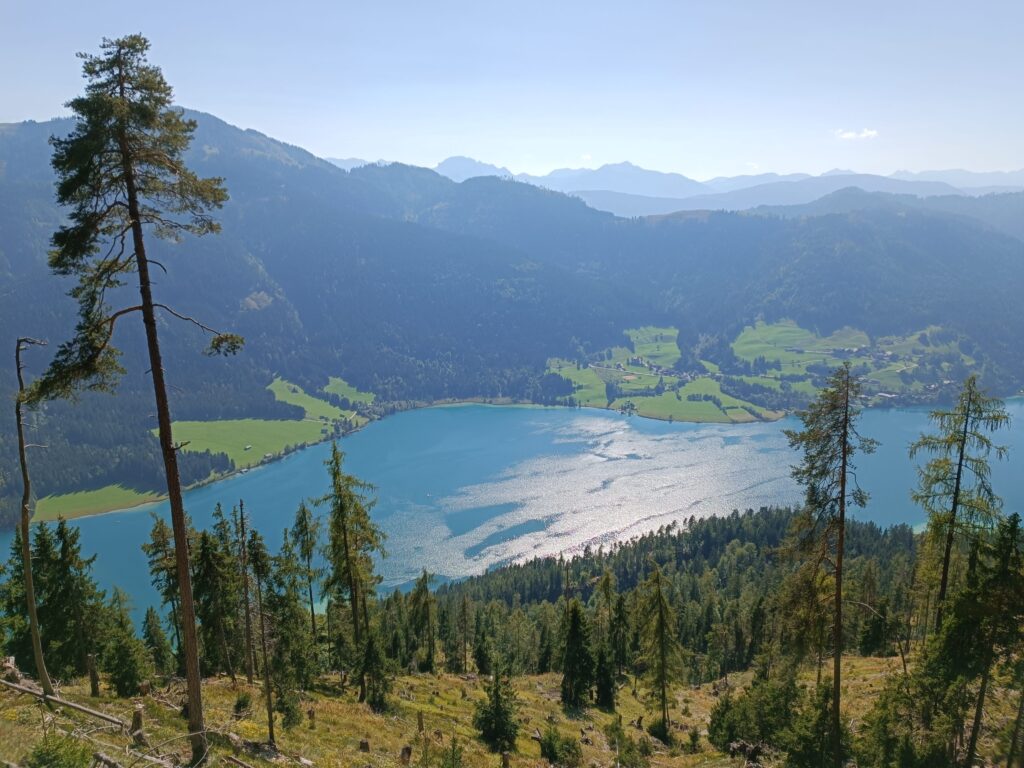 IMG 20230909 150850 1024x768