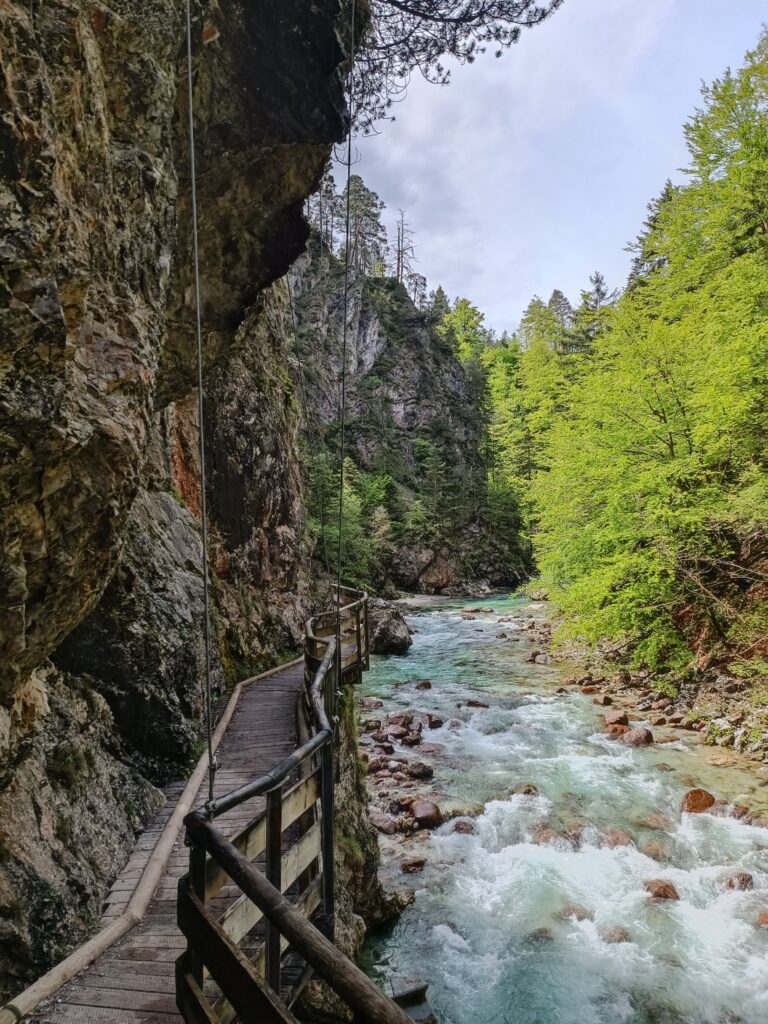 IMG 20240509 112218 768x1024