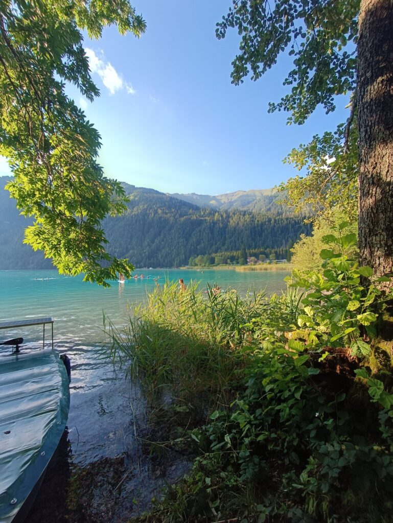 IMG 20240810 183415 769x1024