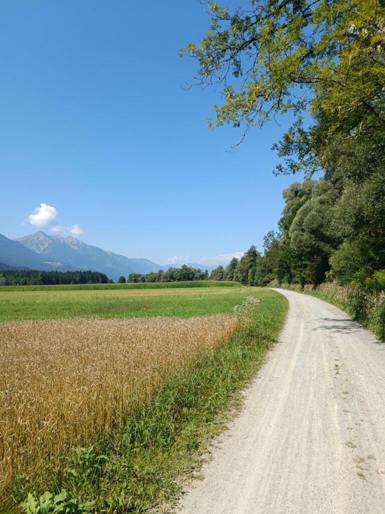 IMG 20240811 111012 768x1024