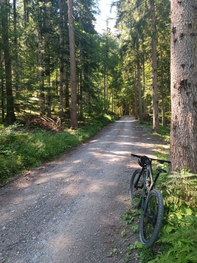 IMG 20240811 114842 768x1024