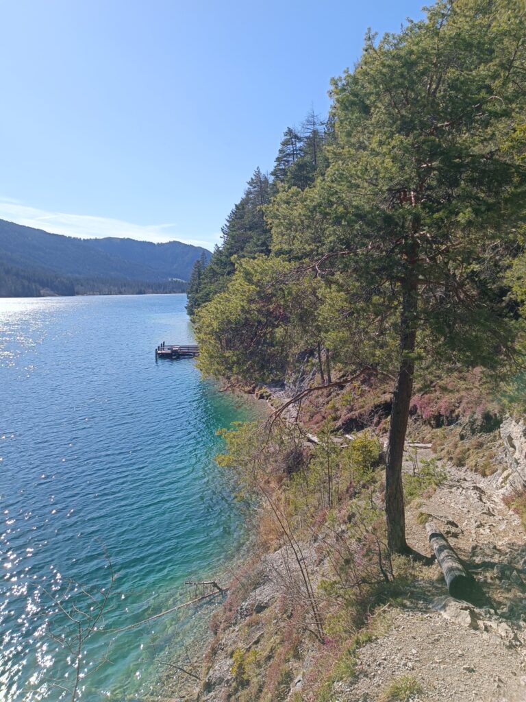 IMG 20250411 160958 768x1024